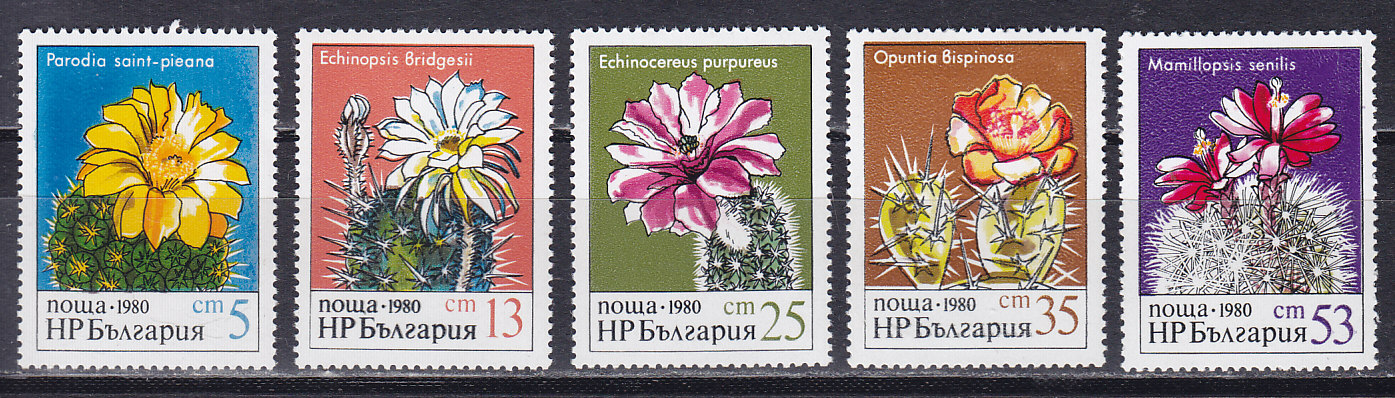 , 1980, . 5 .  2946-2950