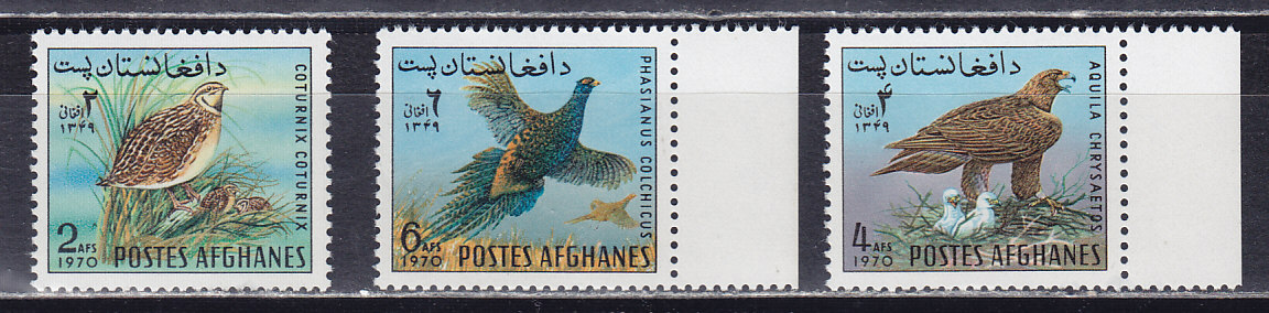, 1970, . 3 .  1082-1084