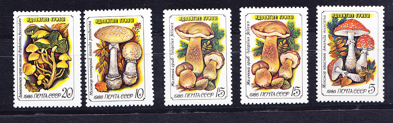 CCCР, 1986, Ядовитые грибы. 5 марок. № 5724-5728