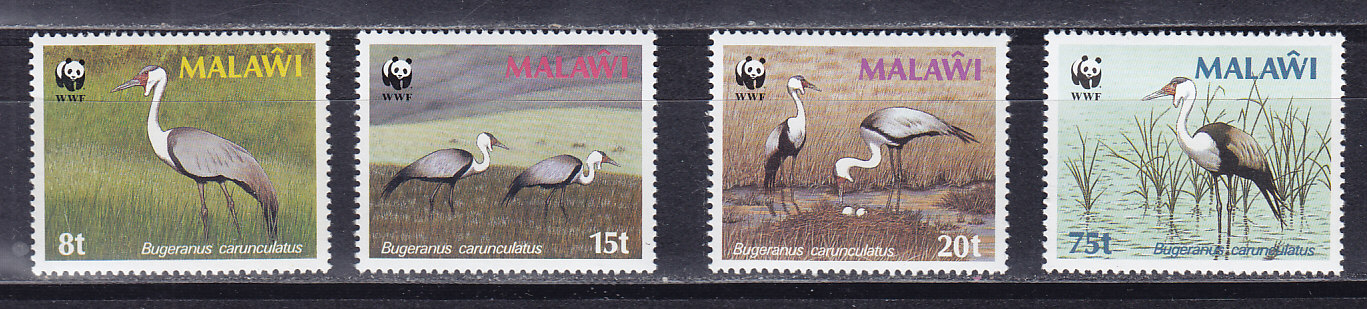 , 1987, WWF. . 4 .  477-480