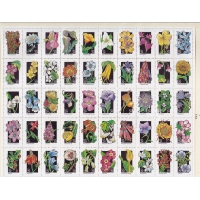 США, 1992, Полевые цветы. Лист из 50 марок. № 2252-2301