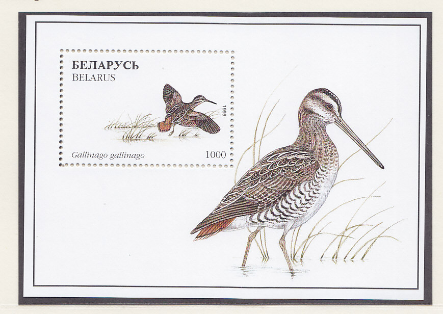 Беларусь, 1996, Болотные птицы. Блок. № 13