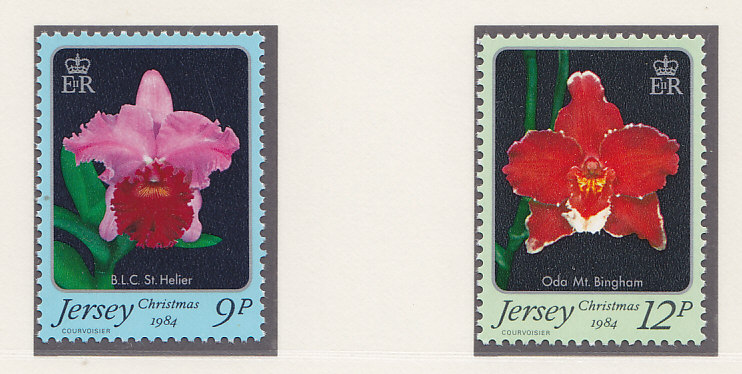 , 1984, . 2 .  340-341