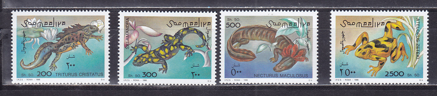 Сомали, 1996, Амфибии. 4 марки. № 580-583