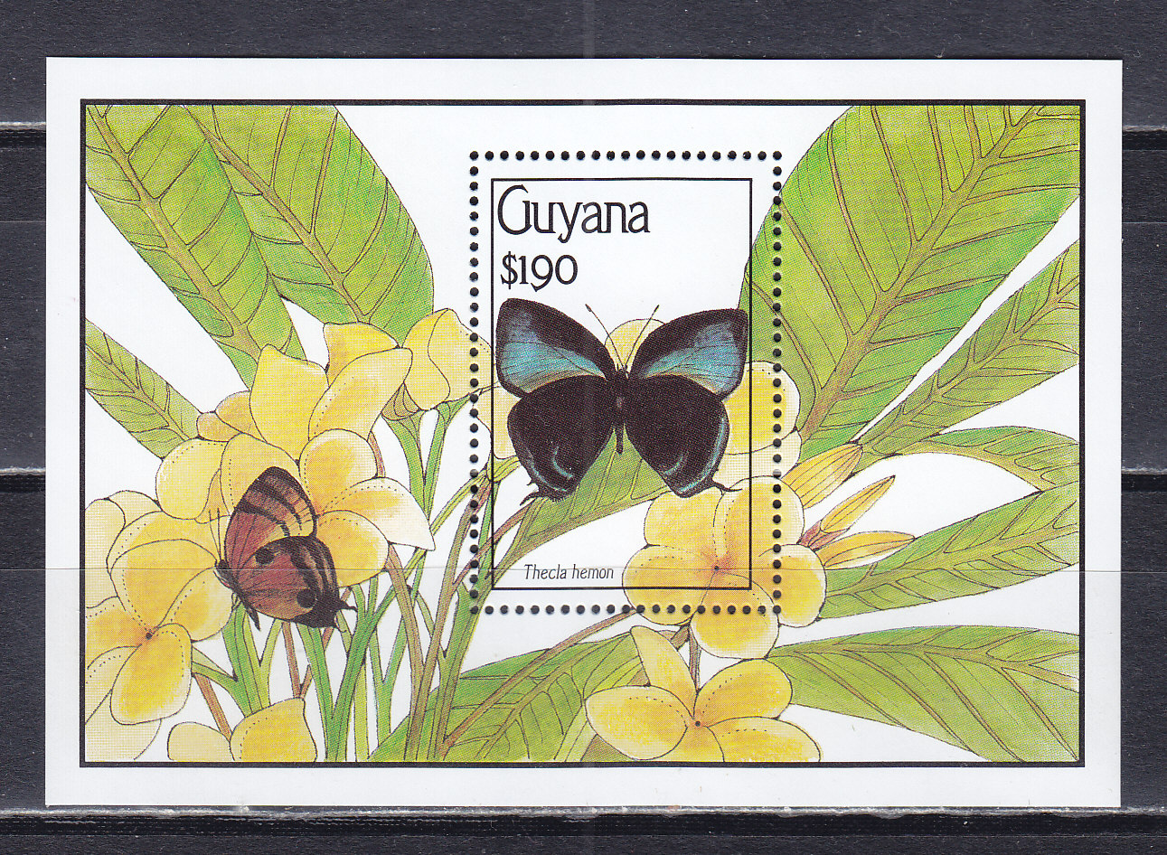 Гайана, 1990, Бабочки. Теклы. Блок. № 103