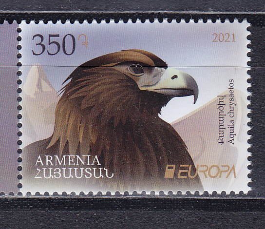 Armenia, 2021, Europe. Golden eagle. Stamp