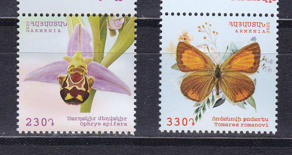 Армения, 2020, Бабочка. Орхидея. 2 марки. № 1185-1186