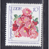 ГДР, 1972, Розы. Марка. № 1778