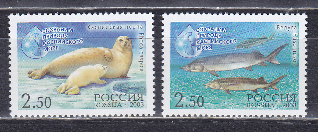 Россия, 2003, Совместный выпуск с Ираном. 2 марки. № 886-887