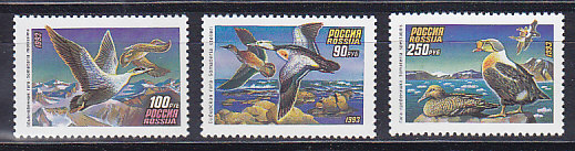 , 1993, . 3 .  101-103