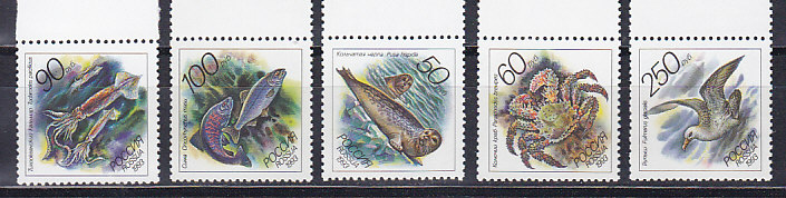 , 1993,  . 5 .  104-108
